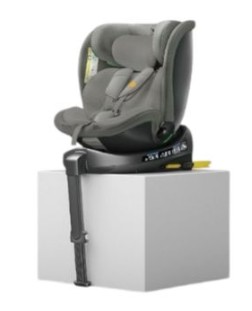 Tiny's Carseat
